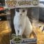 jesuisunchaton