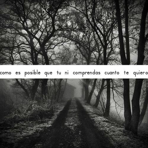 Las horas que pensando estoy en ti se hacen eternas cómo es posible que tú ni comprendas cuánto te quiero. 