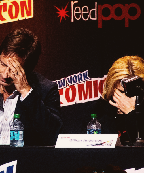 andersondaily:  David Duchovny &amp; Gillian Anderson at NYCC 2013. Picture by