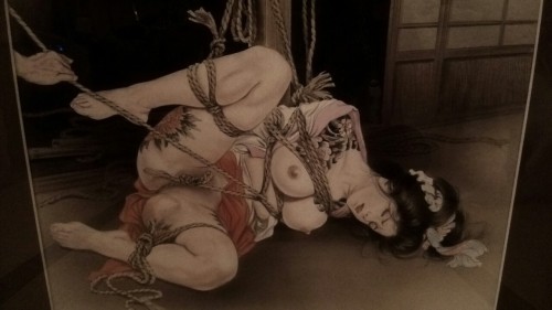 japanesebdsmofficial:  Kinbaku Shigonawa Bingo