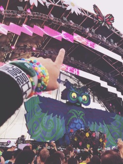 patjrodriguez:  EDC NEW YORK! 