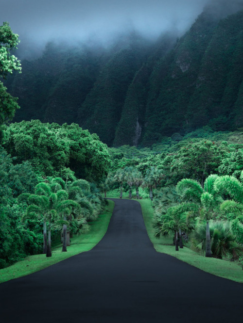 Oahu, Hawaii by Catherine SimardFollow In search of beauty and please don’t copy…. reblog Only high 
