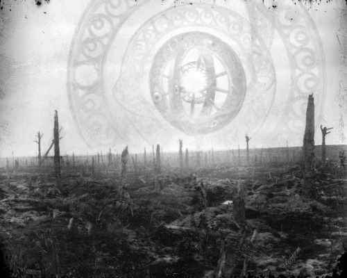 This Is The Only Undamaged Picture Found In A Camera In No Man's Land (Flanders, 1918).