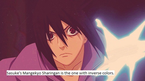 The Naruto Fandom.
