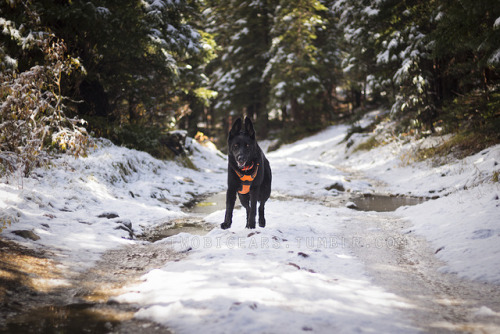 twobigears:  Onward to 2018. Here’s to more time on the trails, days in the mountains, and nights under the stars.