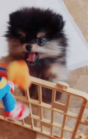 poutaes:don’t grow up too fast♡