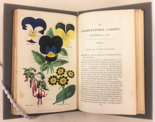 Joseph Harrison’s The Floricultural Cabinet‘A garden to walk in and immensity to dream in–what