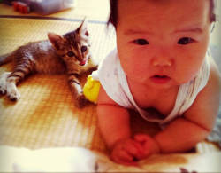 zambiunicorn:  sasaq:  Toco The Cat And His Human: Growing Up Together  I cried 