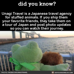 did-you-kno:  Unagi Travel is a Japanese travel agency  for stuffed animals. If you ship them  your favorite friends, they take them on  a tour of Japan and post photo updates  so you can watch their journey. Source