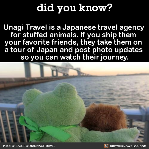 did-you-kno:  Unagi Travel is a Japanese travel agency  for stuffed animals. If you ship them  your favorite friends, they take them on  a tour of Japan and post photo updates  so you can watch their journey. Source