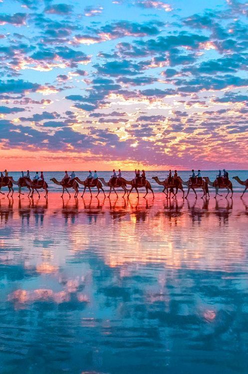 sparkelling:  ◕ ‿ ◕｡ #SafariAfrica 
