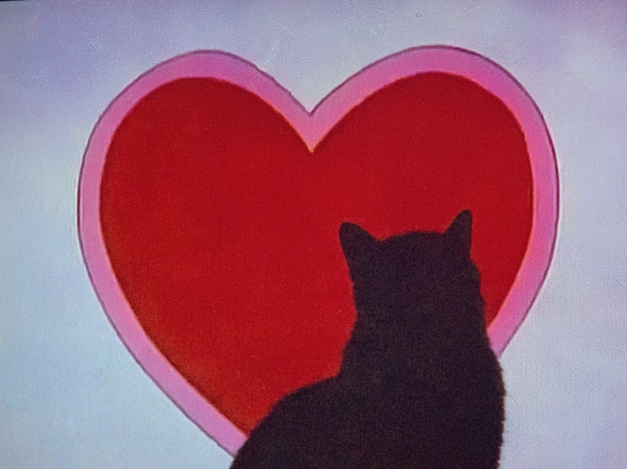 mybloodiedvalentine:My cat watching the Care Bears cartoon 