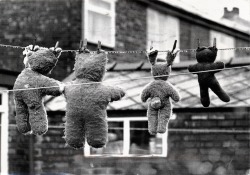 mannequinsvitrine: David Montford - Teddy bears on washing line, 1992.