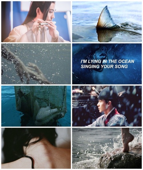 moodboard inspiration - Shen Wei x Zhao Yun Lan + Little Mermaid!AUEver since Zhao Yun Lan was saved
