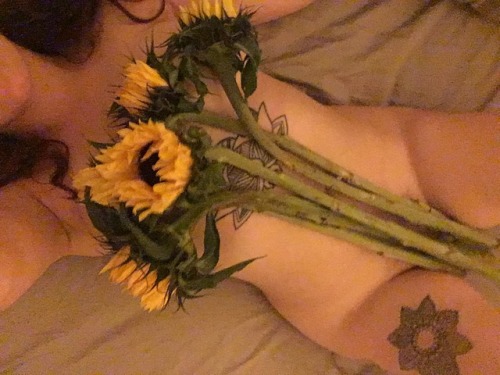 Porn photo swantron:  Sunflowers are my favourite flowers