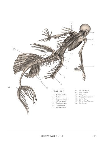 beastlyart:  ea-solinas:  Pictures from The Resurrectionistby E.B. Hudspeth. I recommend it wholehea