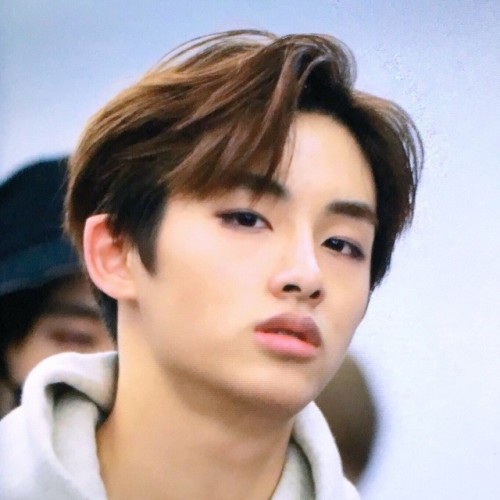 grdge:wunty (winwin cunty) moodboard