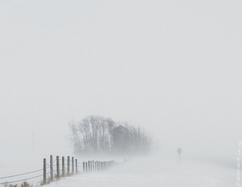 thisherelight:in case you’re not entirely sick of pictures of what we call spring.. 