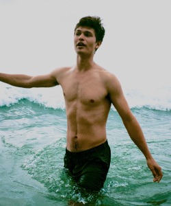 midsommars: Ansel Elgort by Jaden Walker (2018)