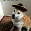 fiesta-entu-poto