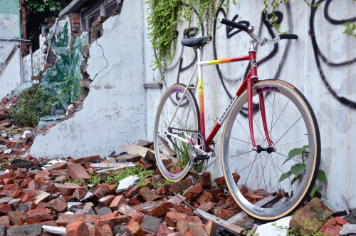 davewellbeloved: Lovely (via Lockedcog.com – Bikes on the Streets. » Blog Archive » Anson’s Colnago 