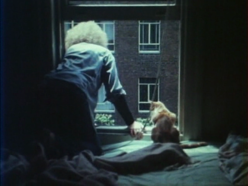 adele-tout: As I Was Moving Ahead Occasionally I Saw Brief Glimpses of Beauty de Jonas Mekas