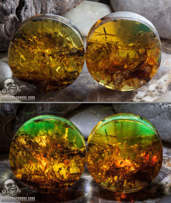bodyartforms:  Chiapas amber plugs by Diablo