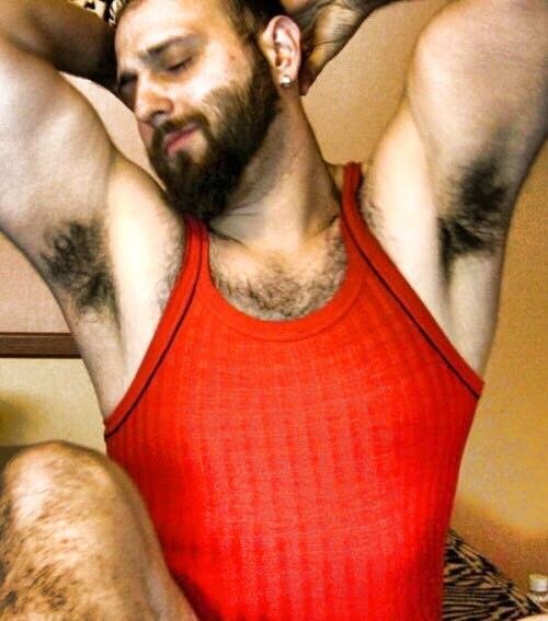 Sex bearpitpig:  #HairyPits #Armpits #Bear #Pits pictures