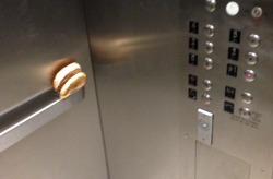 kanayastrider:  grimdarkthroes:  THERES A HAMBURGER IN THE ELEVATOR AT SCHOOL??  taking lunch to the next level   did you just