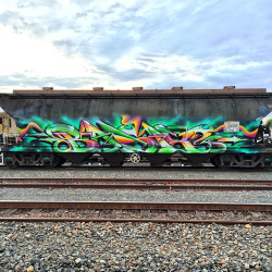 fuckheadz:http://www.spraydaily.com/hmni-basix/