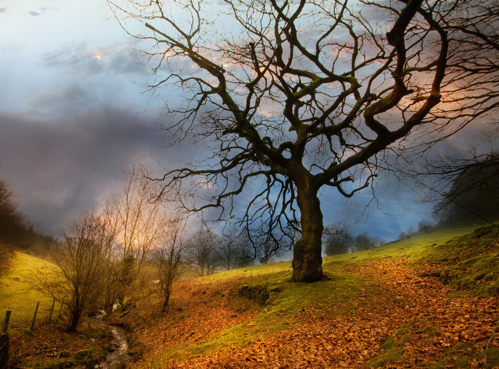 darkface:  Fairytale…. (by Jem Salmon) 