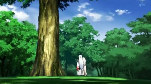 Sesshoumaru is such a loyal doggo He’ll wait in front of that tree for as long as he has too until R