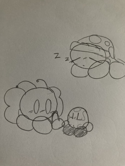 Orbs My Beloved