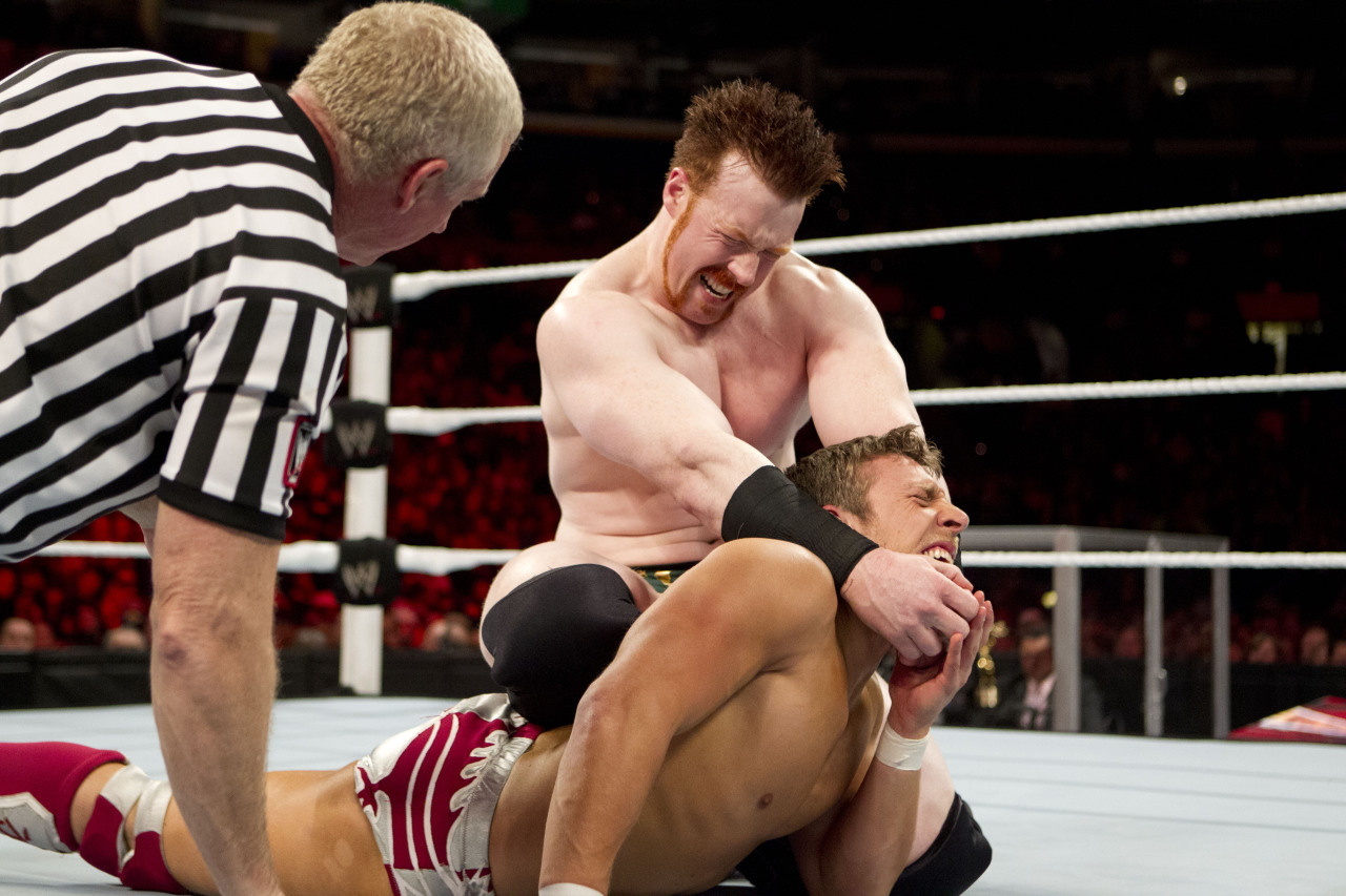 fishbulbsuplex:  Sheamus vs. Daniel Bryan