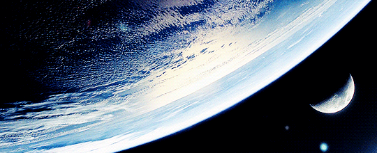 tumblr_pc8qm8dYW01xqlc78o1_540.gif