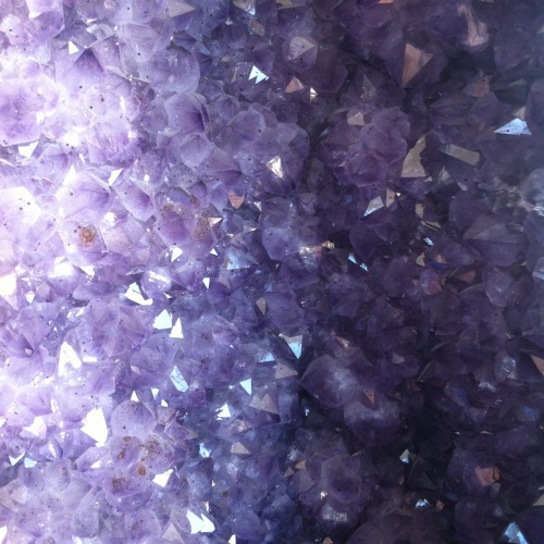 lpdispute: I went to Natures Treasures in downtown and there was this huge amethyst crystal cluster. 