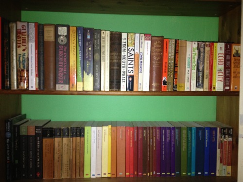 sooo these are two of my bookshelves.most of my shelves have a Theme: fantasy, or, as you can see fr