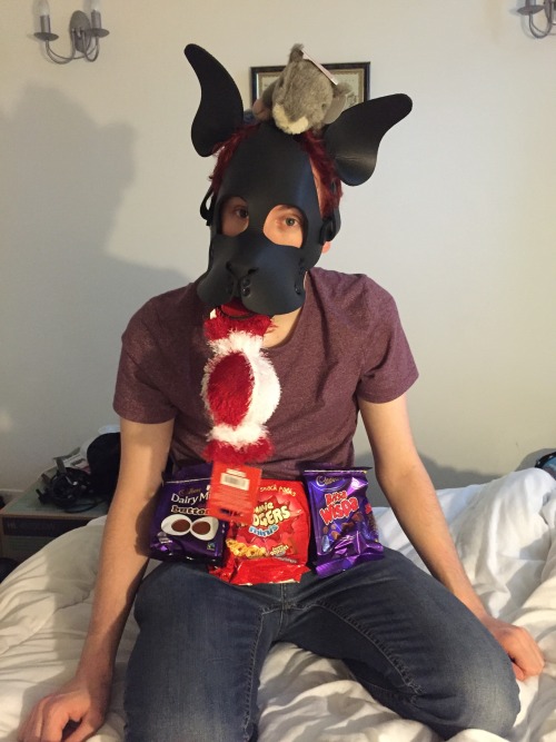 puppixel: puphalt: puppixel: puphalt: scoutpupp: It’s Yule! So puppy got presents from alpha :) S