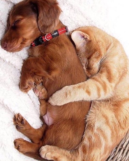 Big spoon little spoon ? 🙃 #Mood by nattcity adult photos