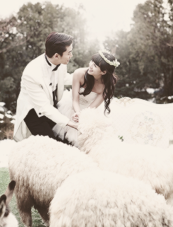 ❤ ❝ in a city light in a city love light❞