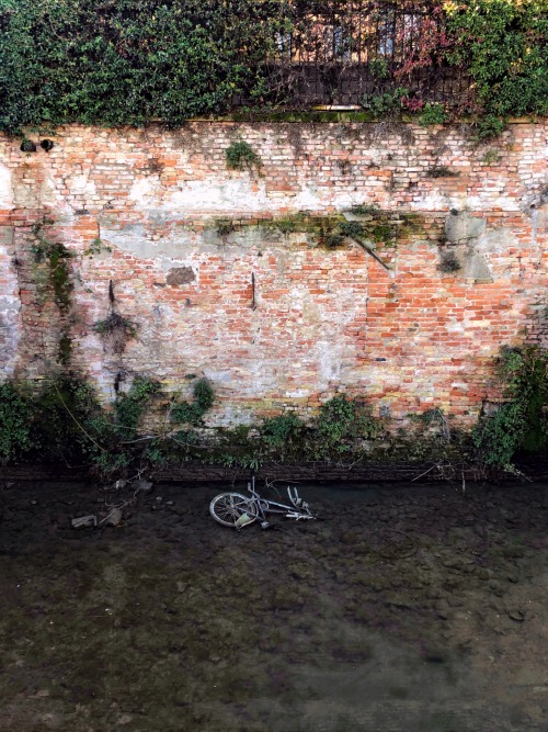 Padova, Gennaio 2021