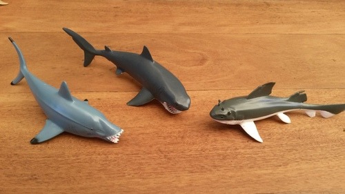 prehistoric shark toys