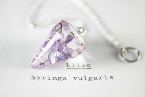 mossofthewoodsjewelry: Lilac (Syringa vulgaris) - Pendulum