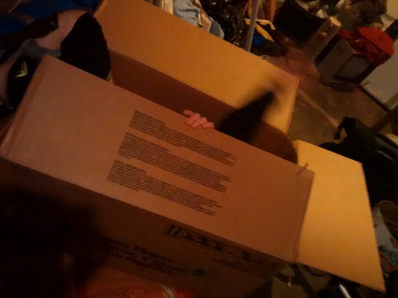 My papa bear got really drunk one night and tried to close himself up in the box