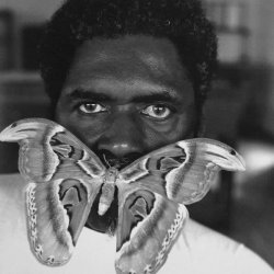 joeinct:  Atlas Moth, Photo by Keith Carter, 1990