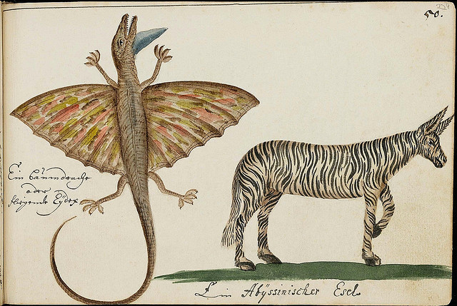design-is-fine:  The Batavia Journal, 1669 - 1682. These illustrations come from