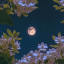 marii-ko