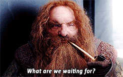 ganseyblues:  “There’s still hope for Frodo. He needs time, and safe passage across the Plains of Gorgoroth. We can give him that.” 