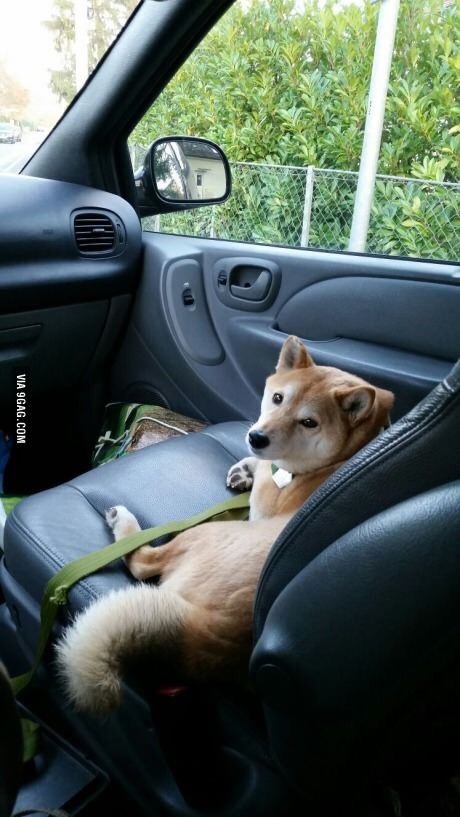 menpale:  Baby drive