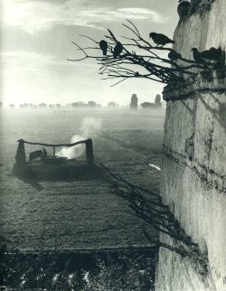  Paul Strand, 1890 - 1976 